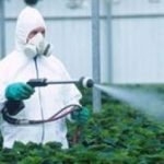 photos sur internet pour montrer l'application dun produit 