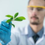 Young scientist wearing protective gloves and examining a plant sample in a laboratory setting.