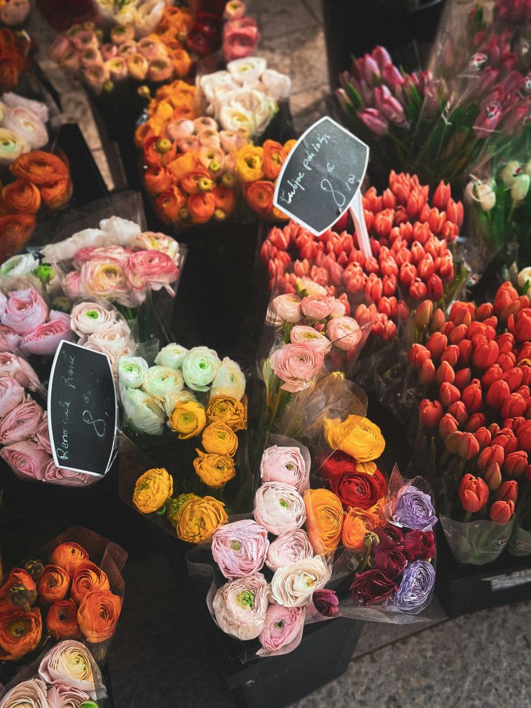 Vibrant assortment of flowers on display at a market in Beziers, France.